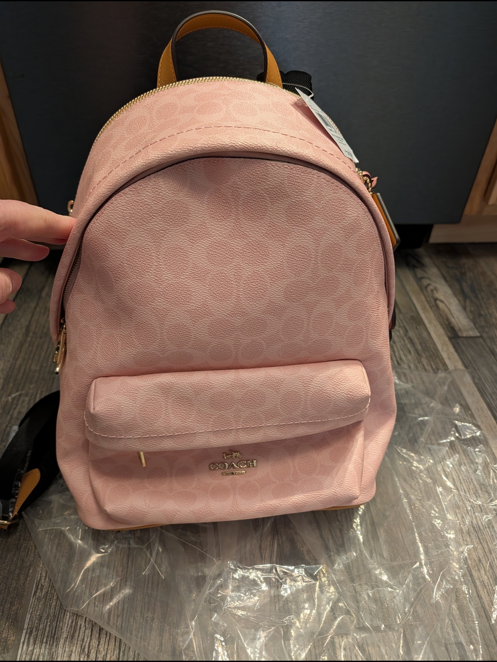 Coach Pink Signature Mini Backpack